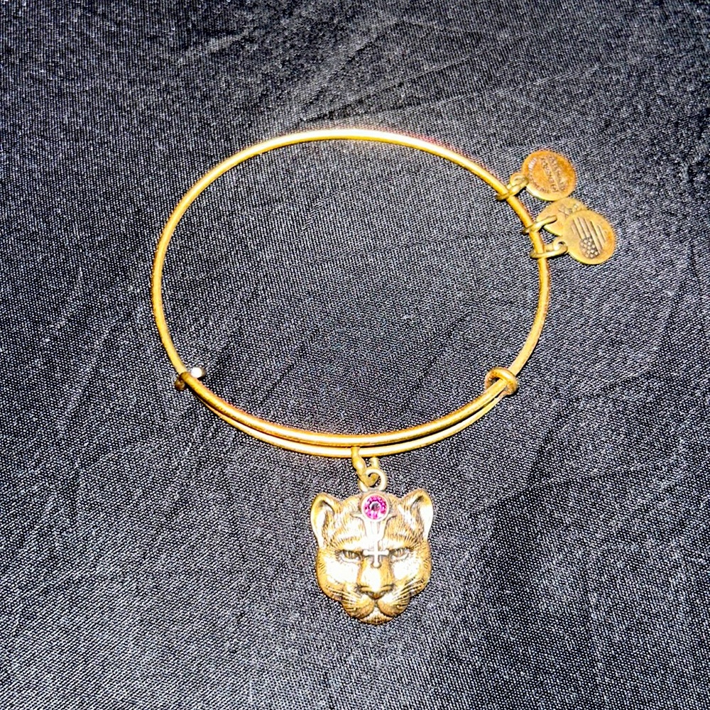 Wild Heart Alex and Ani bracelet